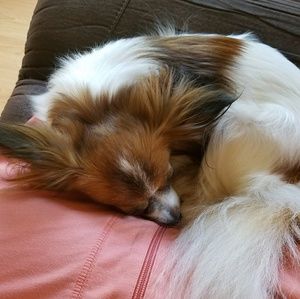 Meet your Posher, Loretta